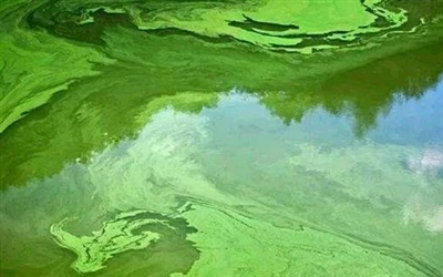 Quels types de dureté existe-t-il dans l’eau pendant le traitement de l’eau ?